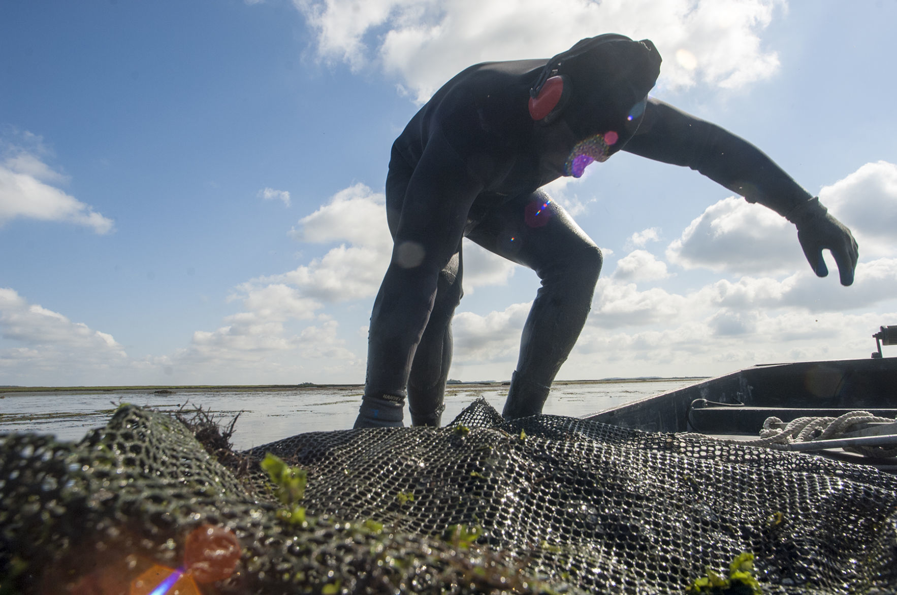 060918_Oysters04.jpg
